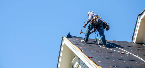 Best Shingle Roofing Installation  in Perry, LA